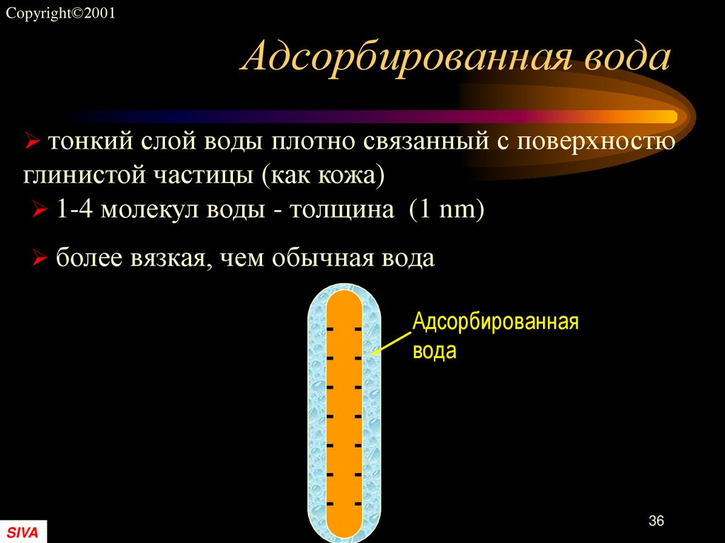 Адсорбированная вода