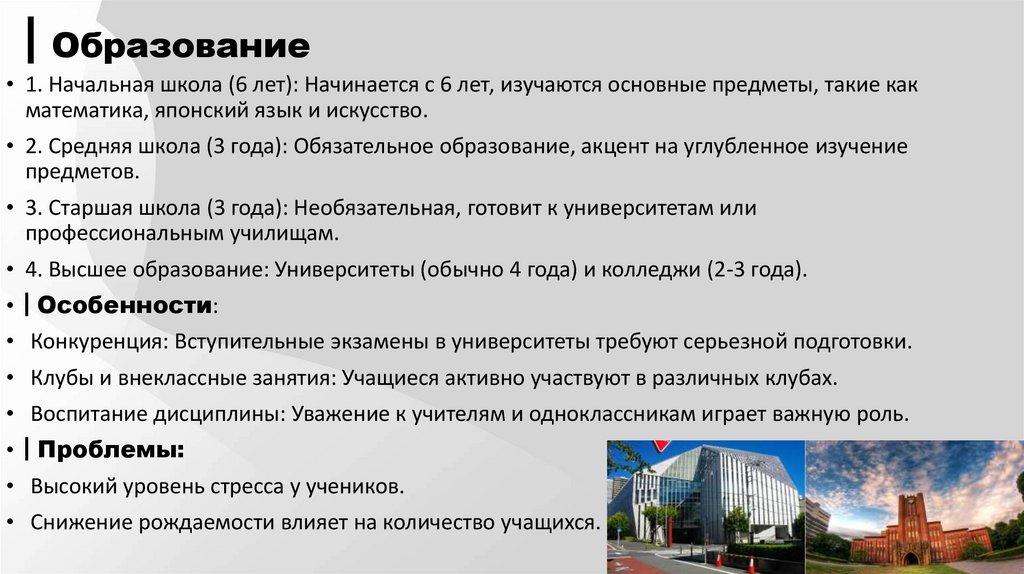 ▎Образование