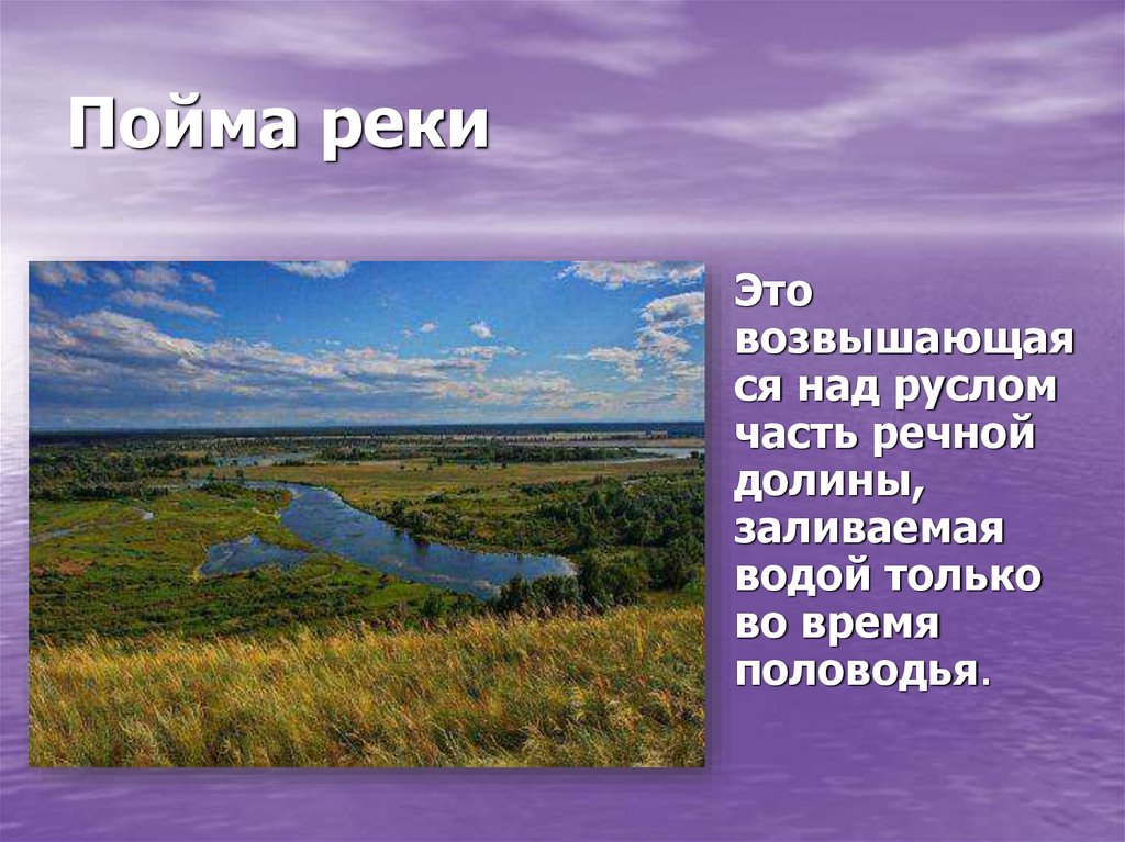 Пойма реки