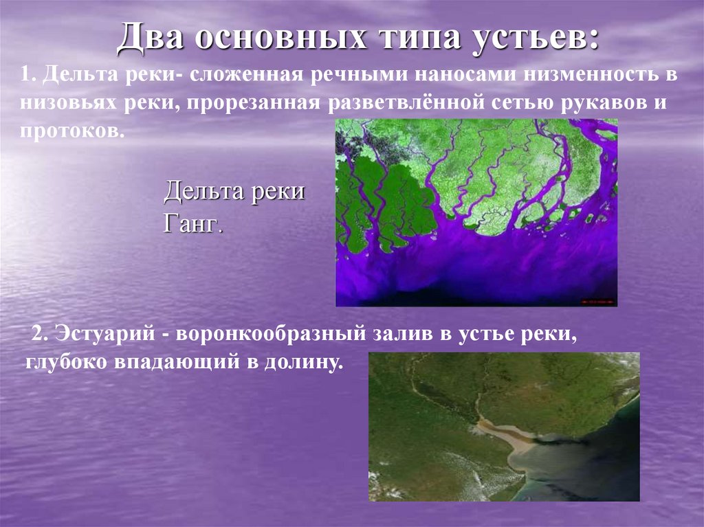 Два основных типа устьев: 1. Дельта реки- сложенная речными наносами низменность в низовьях реки, прорезанная разветвлённой