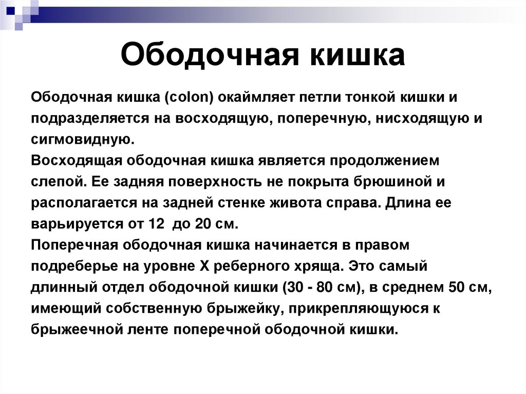 Ободочная кишка