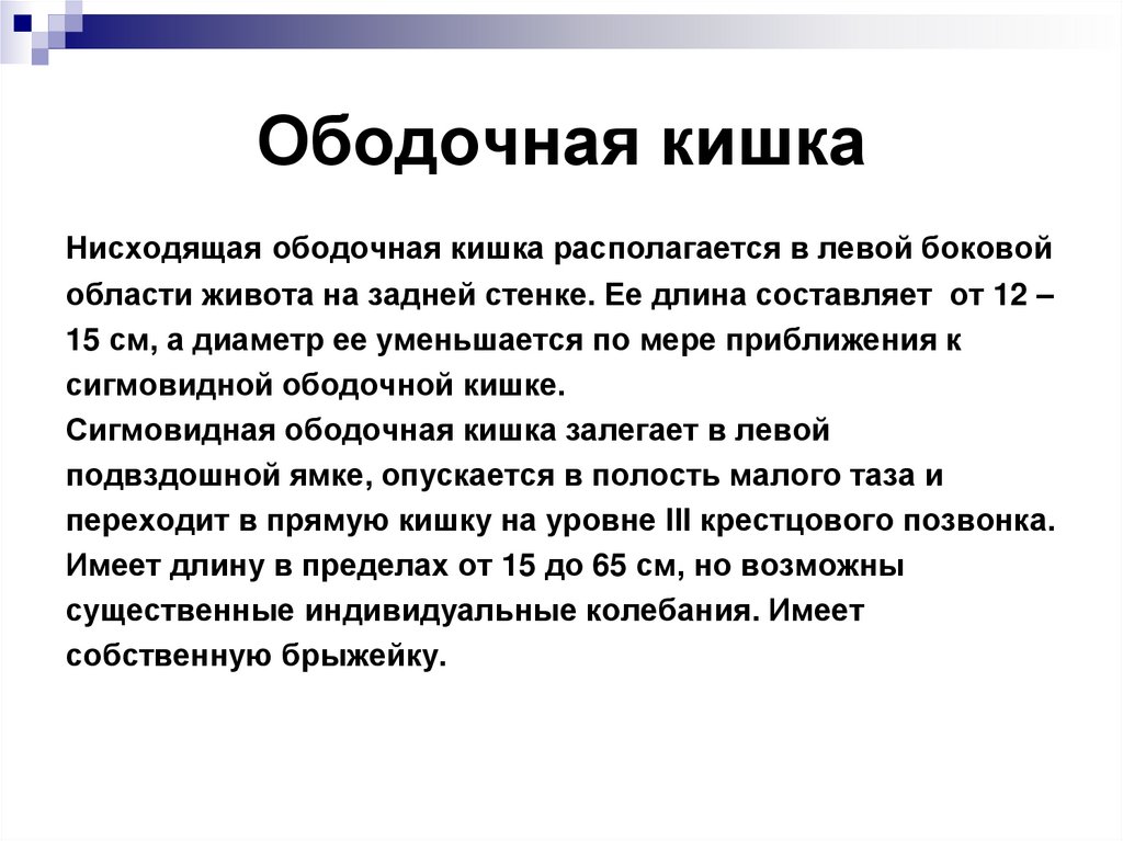 Ободочная кишка