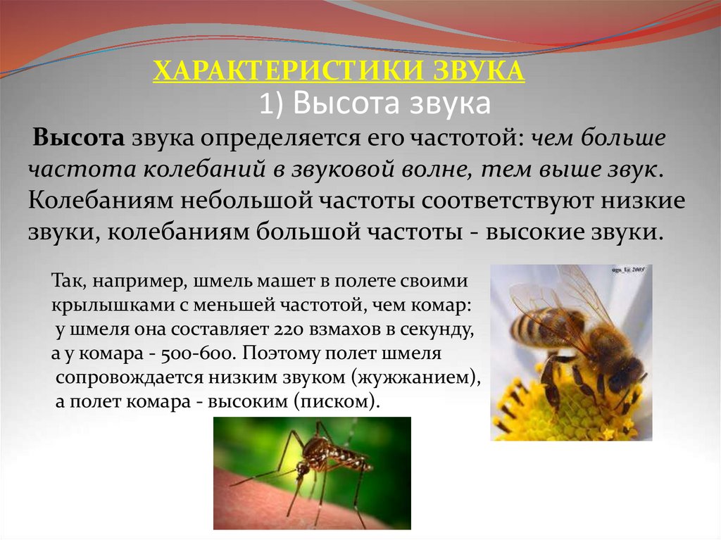 1) Высота звука