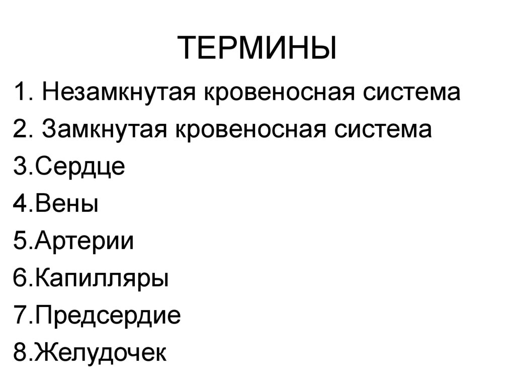 ТЕРМИНЫ