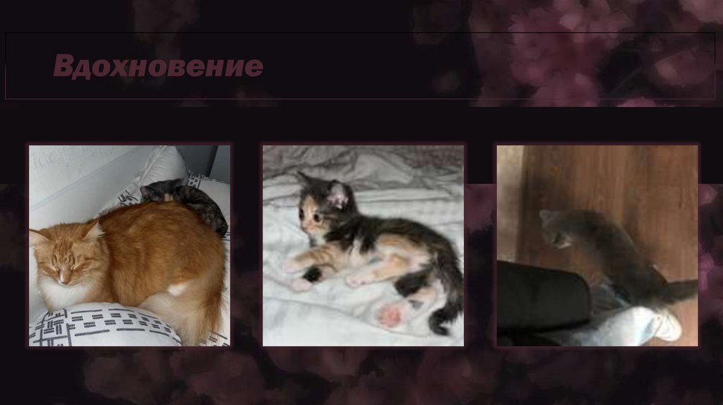 Вдохновение