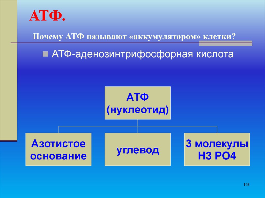 АТФ. Почему АТФ называют «аккумулятором» клетки?