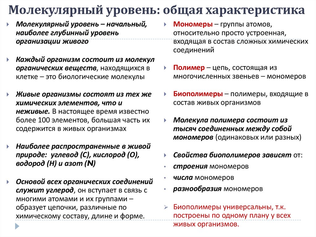 Молекулярный уровень: общая характеристика