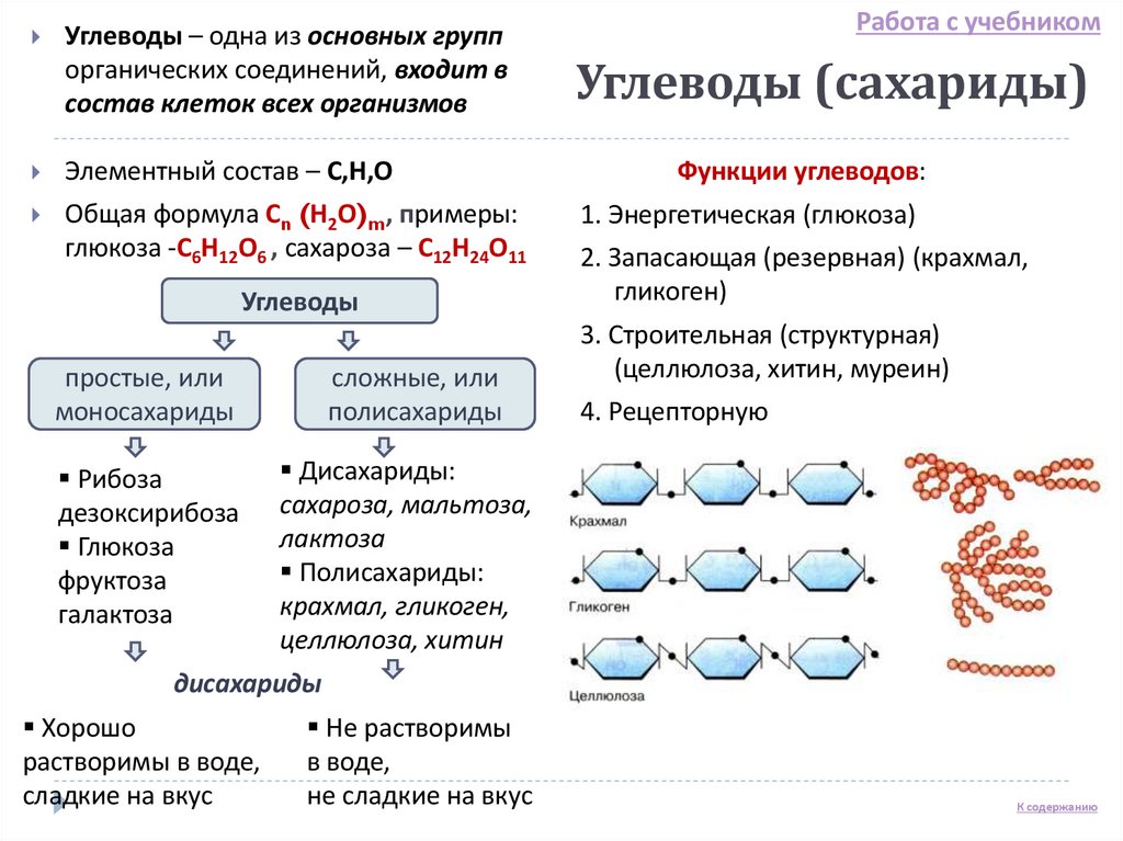Углеводы (сахариды)