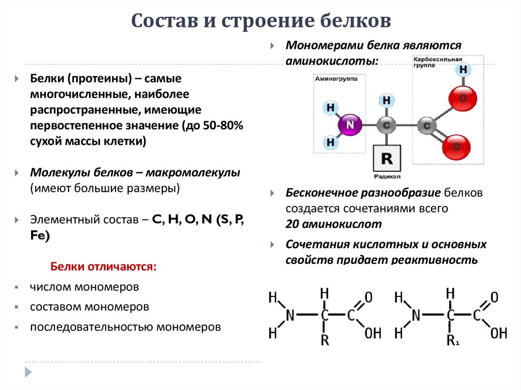 Состав и строение белков