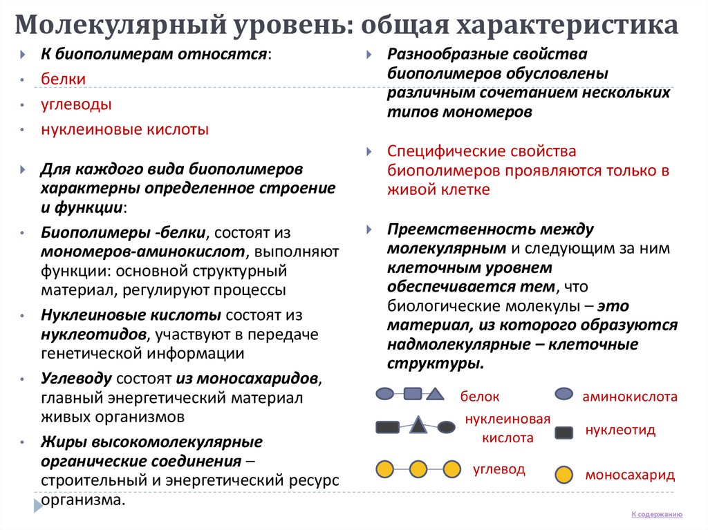Молекулярный уровень: общая характеристика
