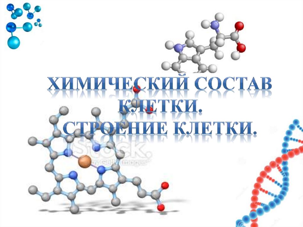 ХИМИЧЕСКИЙ СОСТАВ КЛЕТКИ. СТРОЕНИЕ КЛЕТКИ.