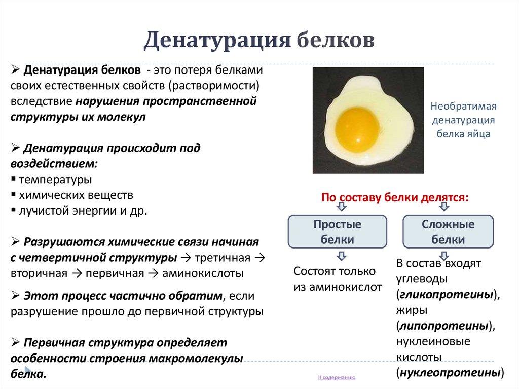 Денатурация белков