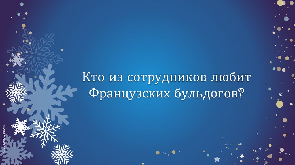 Кто из сотрудников любит Французских бульдогов?