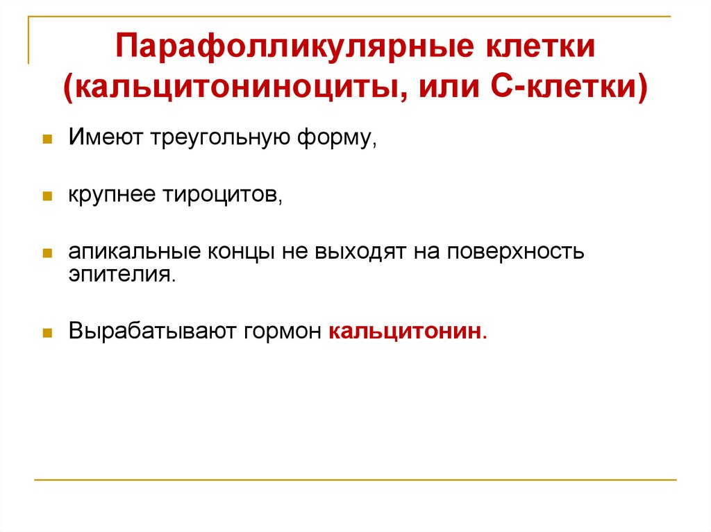 Парафолликулярные клетки (кальцитониноциты, или С-клетки)