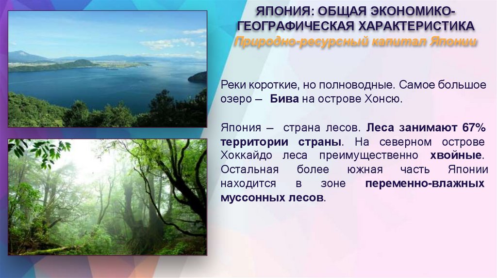 ЯПОНИЯ: ОБЩАЯ ЭКОНОМИКО- ГЕОГРАФИЧЕСКАЯ ХАРАКТЕРИСТИКА Природно-ресурсный капитал Японии
