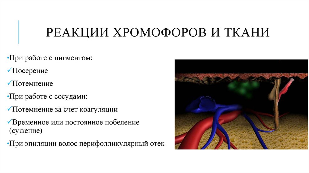 Реакции хромофоров и ткани