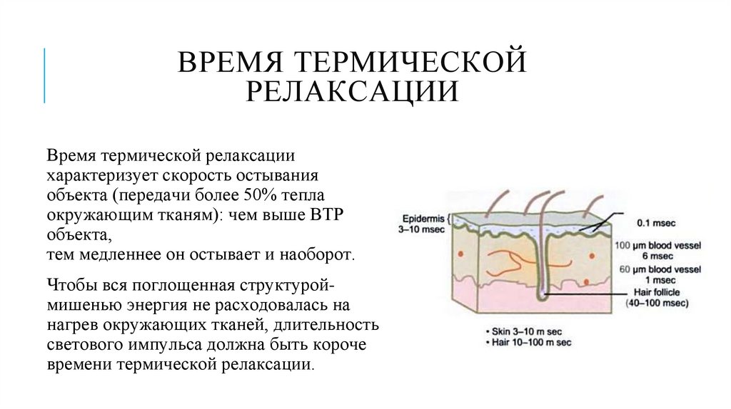 Время термической релаксации