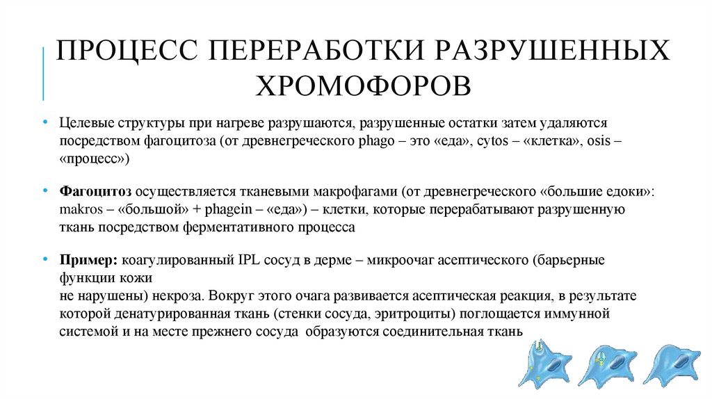 Процесс переработки разрушенных хромофоров