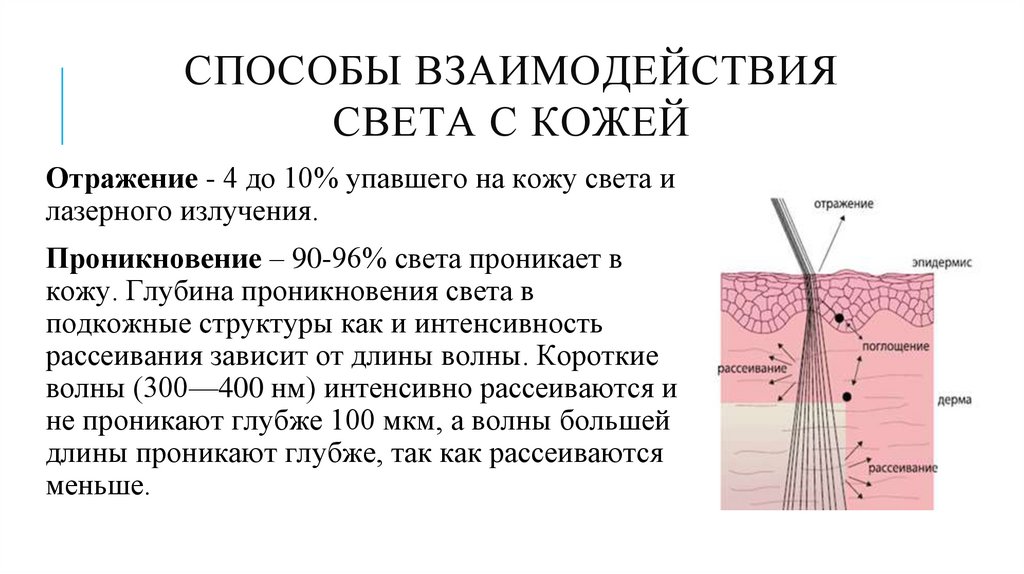 СПОСОБЫ ВЗАИМОДЕЙСТВИЯ света С Кожей