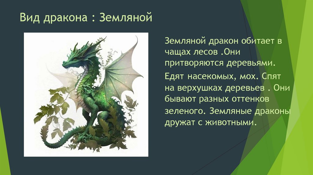 Вид дракона : Земляной