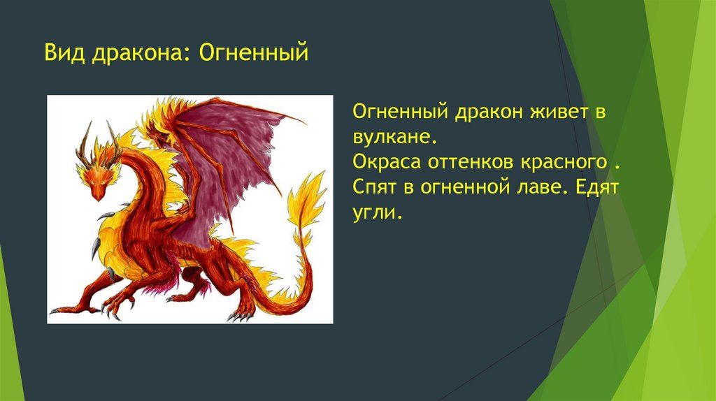 Вид дракона: Огненный