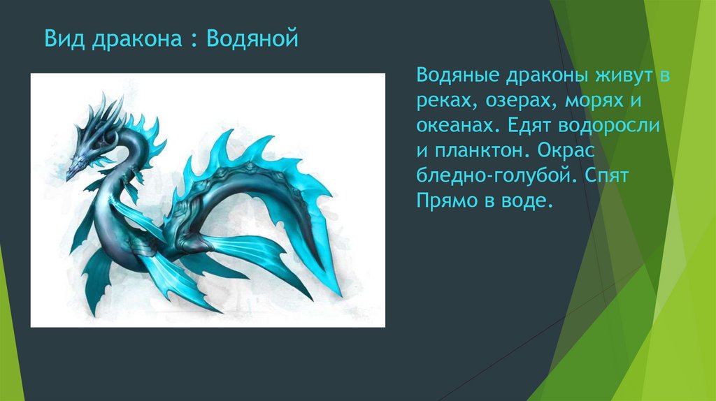 Вид дракона : Водяной