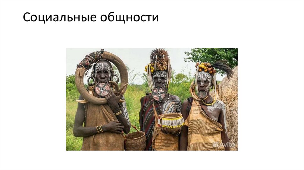 Социальные общности