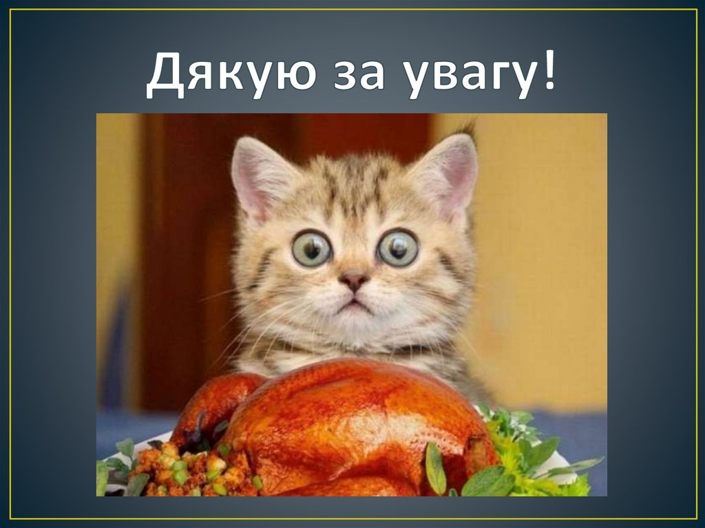 Дякую за увагу!