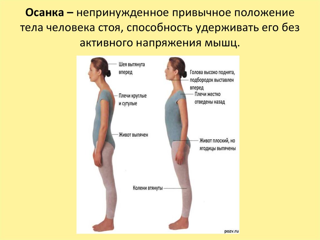 Осанка – непринужденное привычное положение тела человека стоя, способность удерживать его без активного напряжения мышц.
