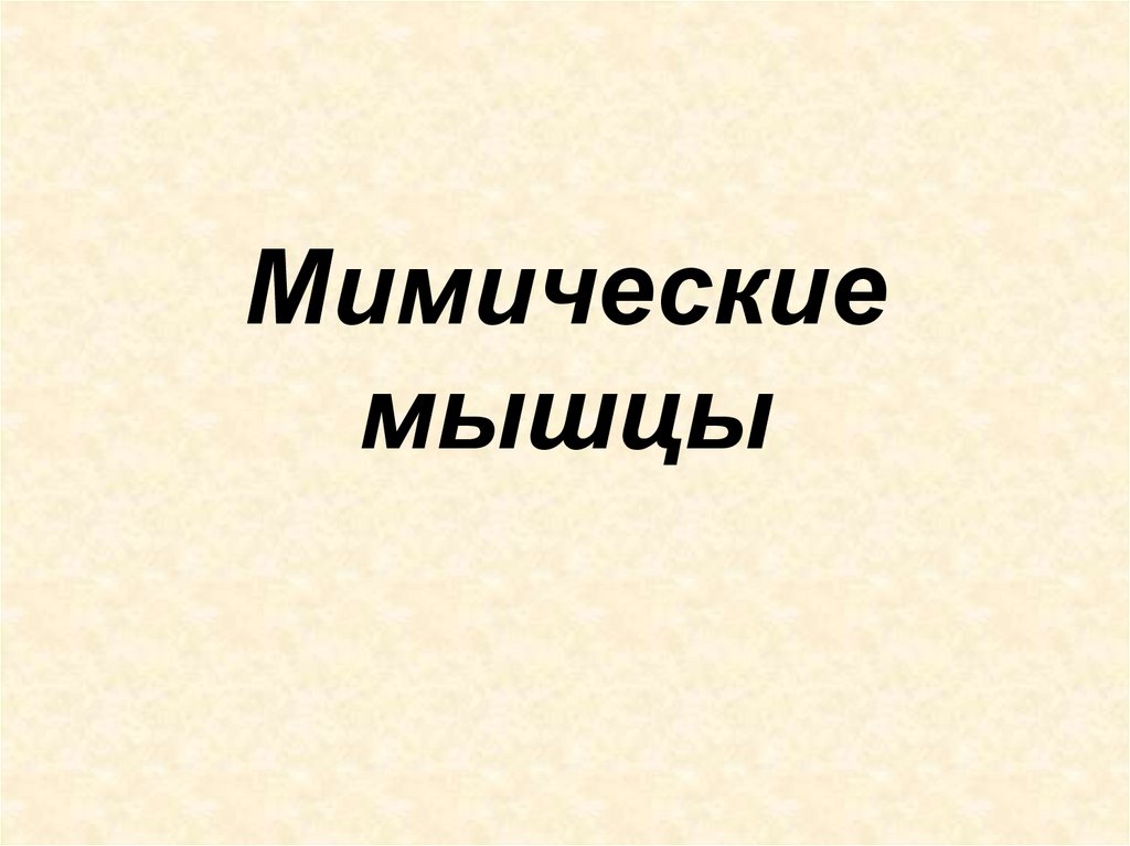 Мимические мышцы