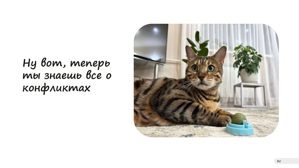 Ну вот, теперь ты знаешь все о конфликтах