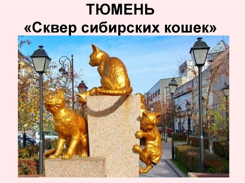 ТЮМЕНЬ «Сквер сибирских кошек»
