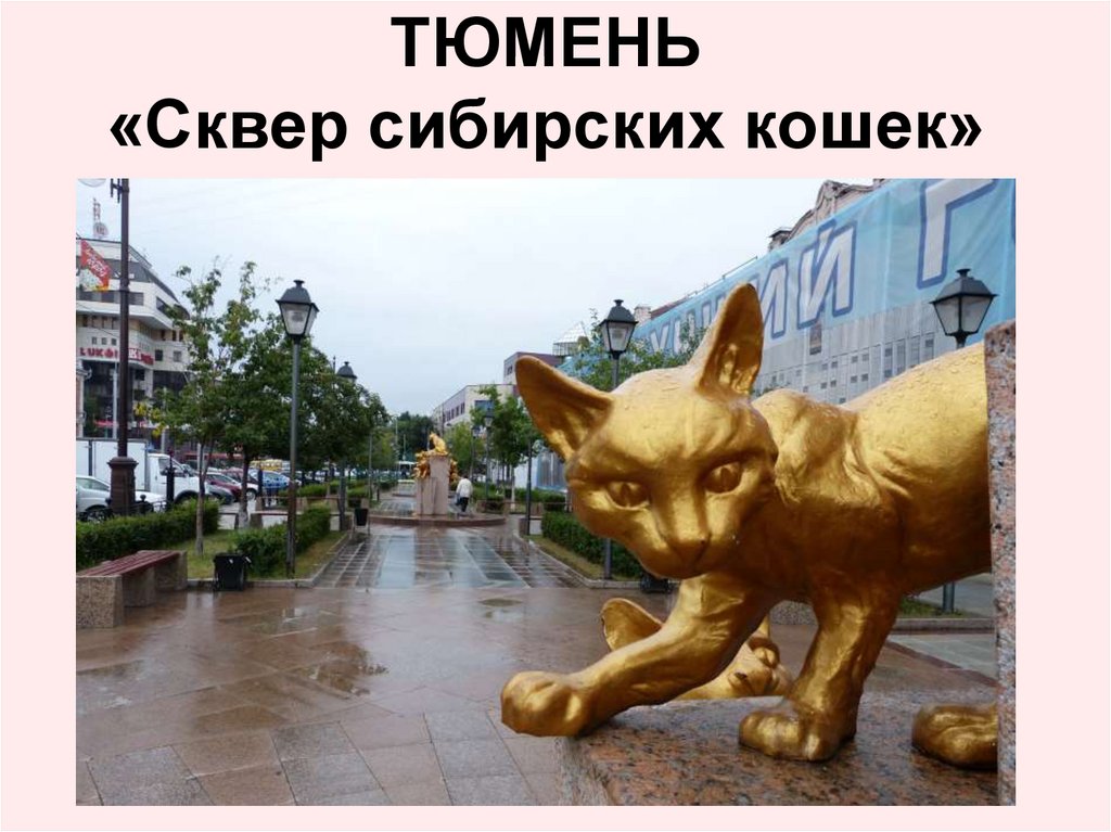 ТЮМЕНЬ «Сквер сибирских кошек»
