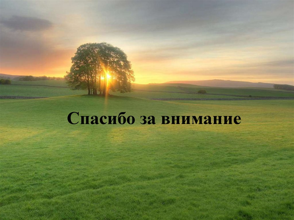 Спасибо за внимание