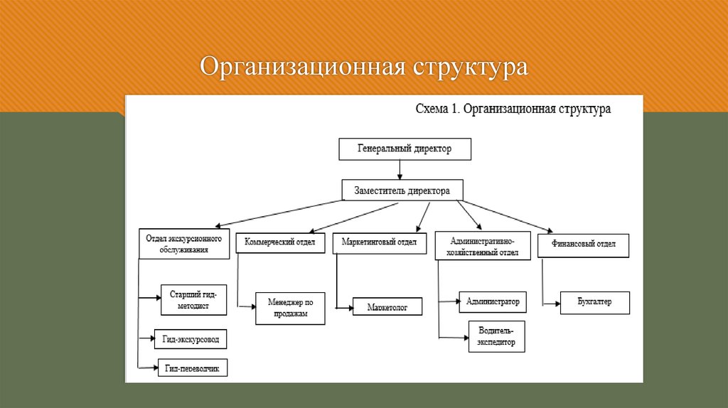 Организационная структура