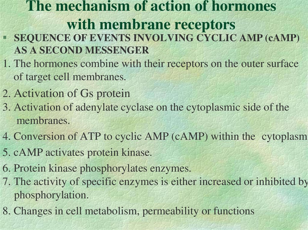 The mechanism of action of hormones with membrane receptors
