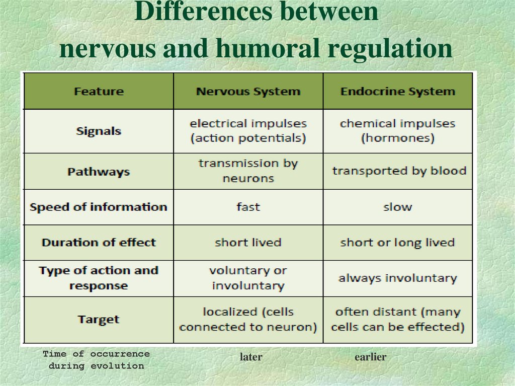 Differences between nervous and humoral regulation