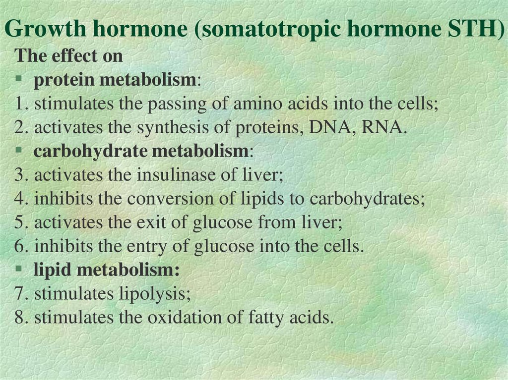 Growth hormone (somatotropic hormone STH)