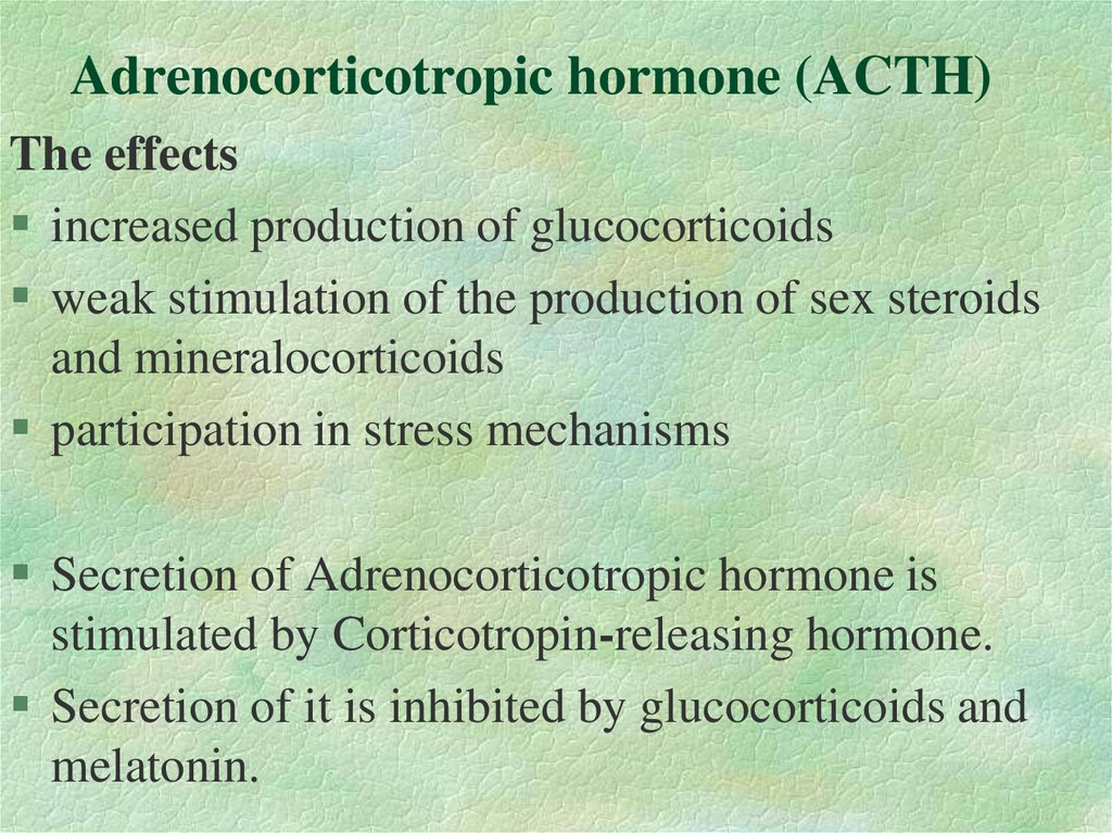Adrenocorticotropic hormone (ACTH)
