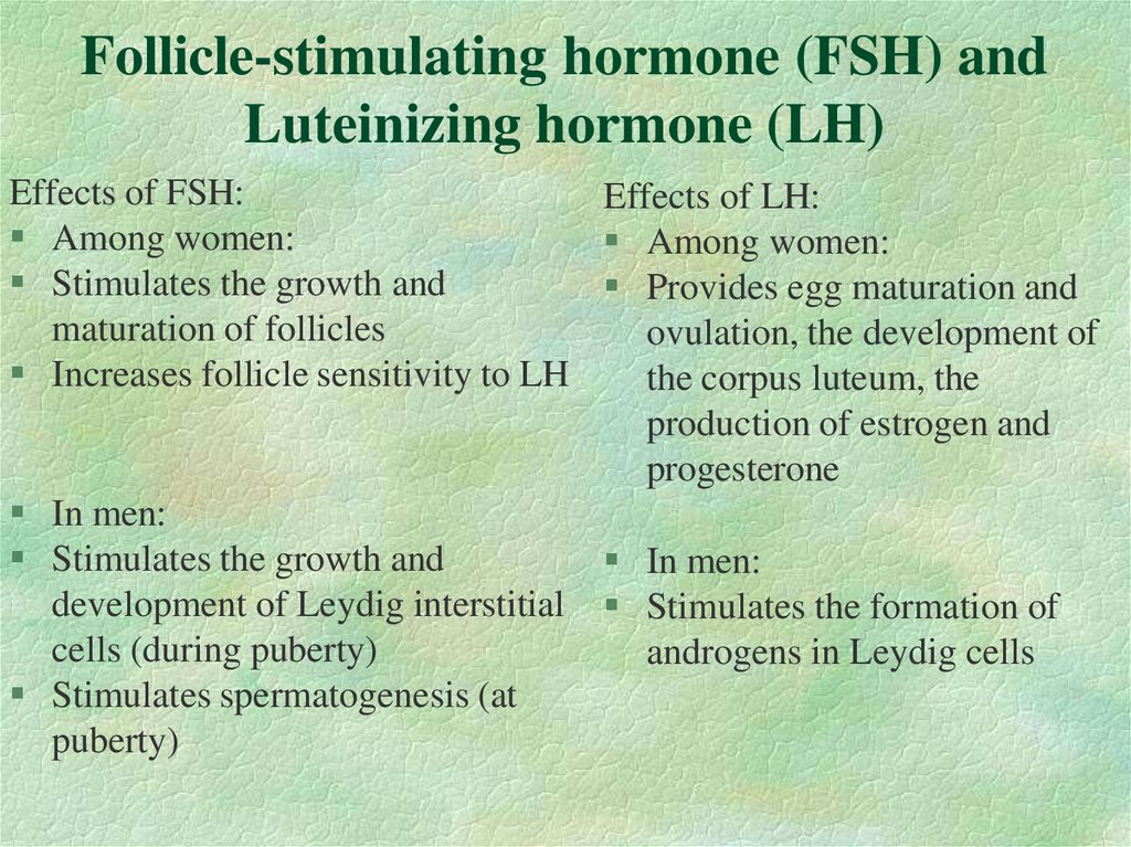 Follicle-stimulating hormone (FSH) and Luteinizing hormone (LH)