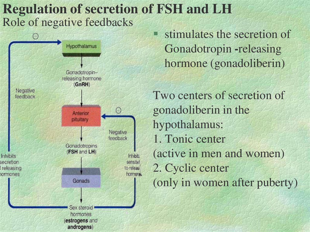 Regulation of secretion of FSH and LH