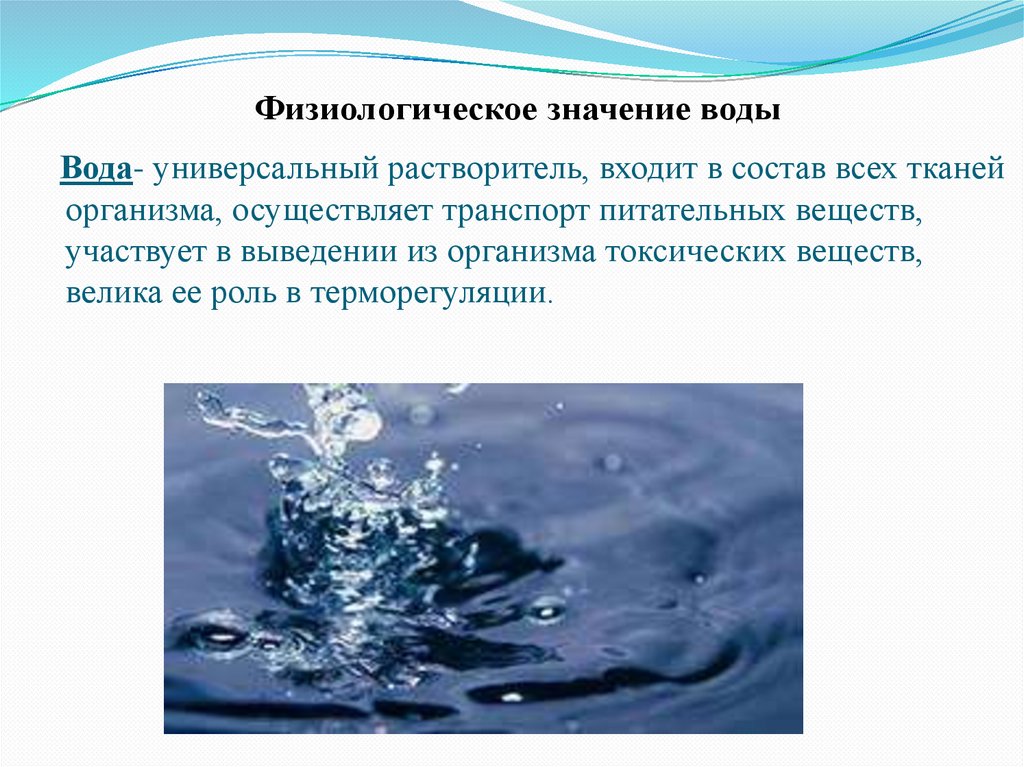 Физиологическое значение воды