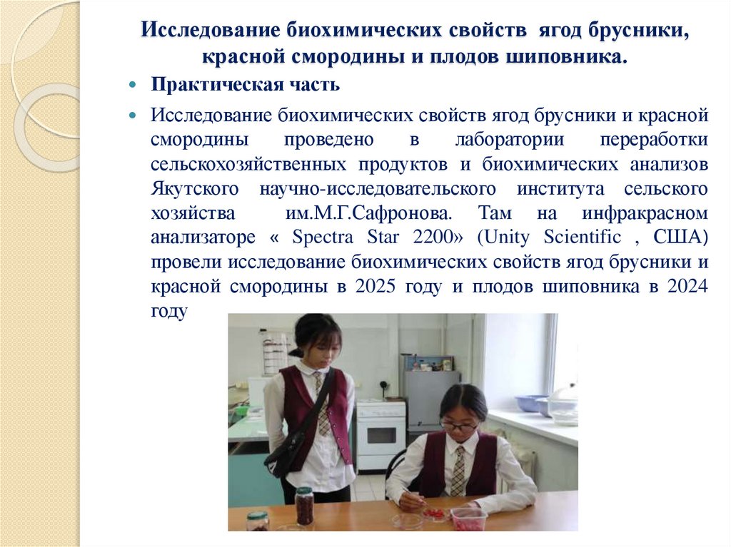Исследование биохимических свойств ягод брусники, красной смородины и плодов шиповника.
