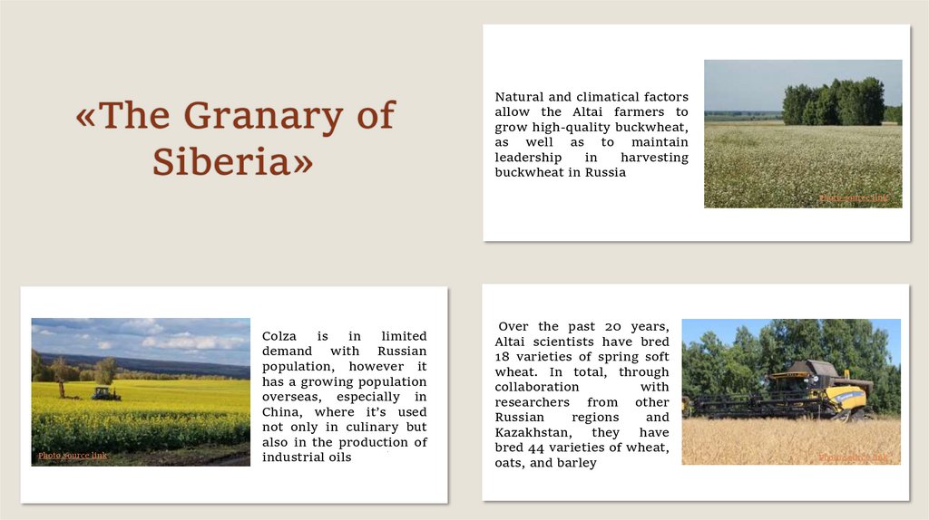 «Тhe Granary of Siberia»