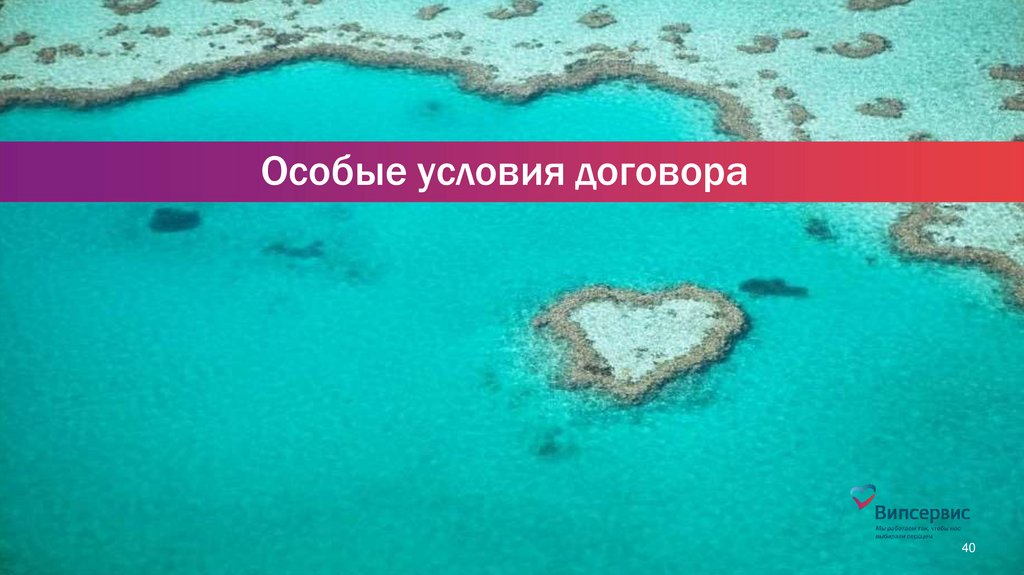 Особые условия договора