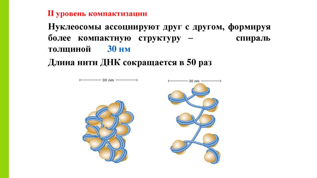 II уровень компактизации