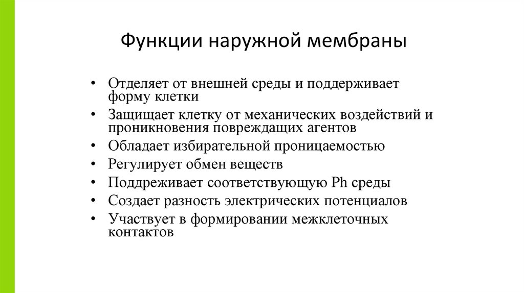 Функции наружной мембраны