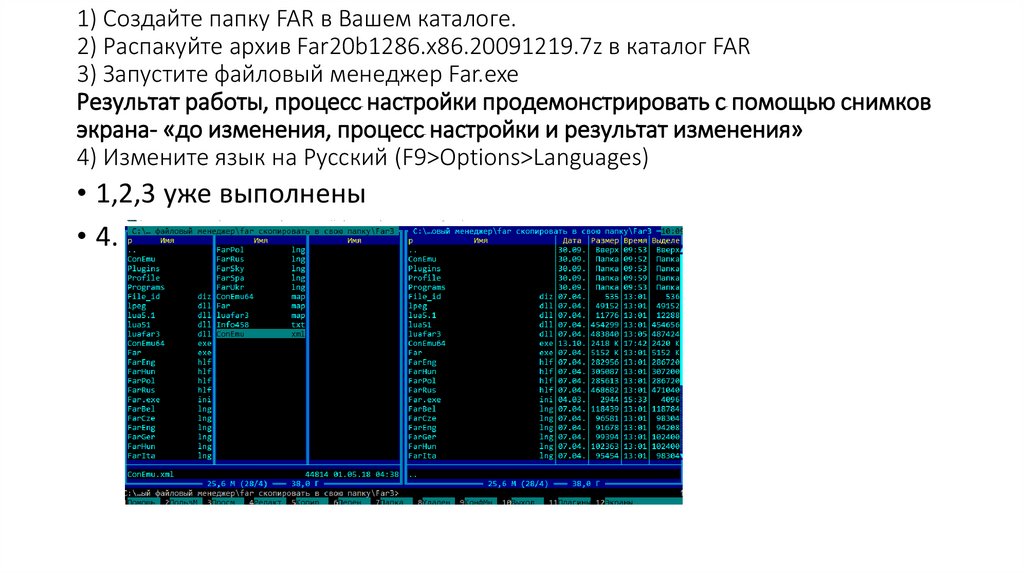 1) Создайте папку FAR в Вашем каталоге. 2) Распакуйте архив Far20b1286.x86.20091219.7z в каталог FAR 3) Запустите файловый