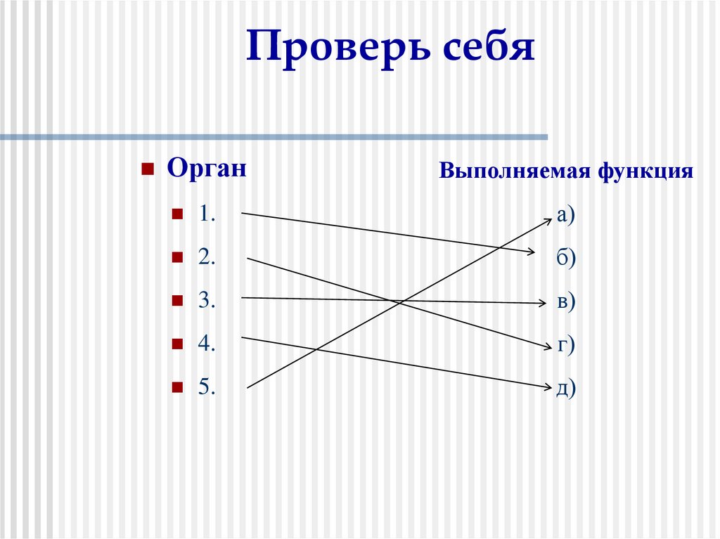 Проверь себя