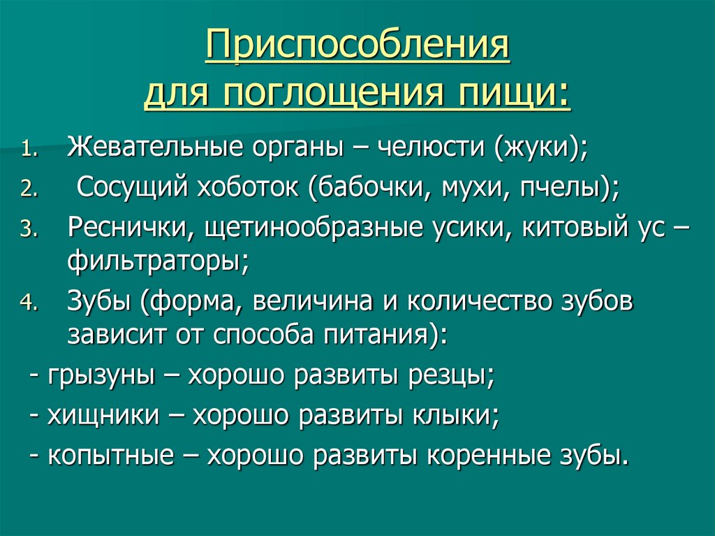 Приспособления для поглощения пищи: